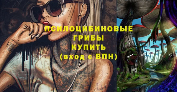 гашик Балабаново